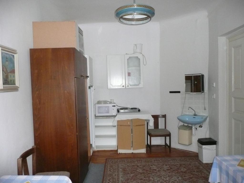Apartment Trojska room 1