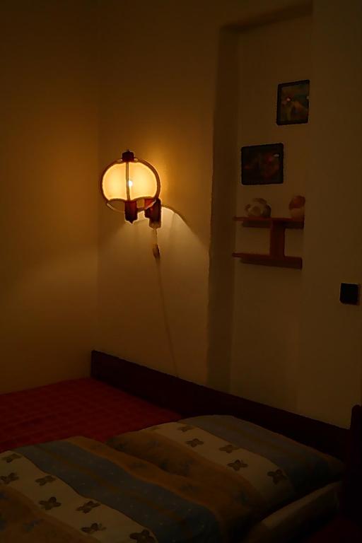Apartment Trojska room 2